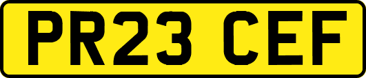 PR23CEF