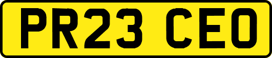 PR23CEO