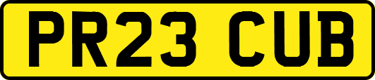 PR23CUB
