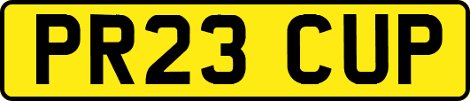 PR23CUP