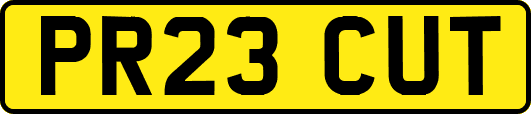 PR23CUT