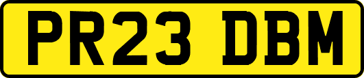 PR23DBM