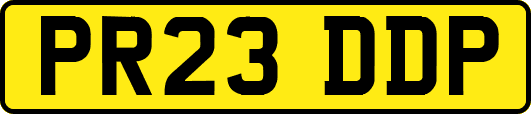 PR23DDP