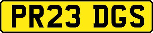 PR23DGS