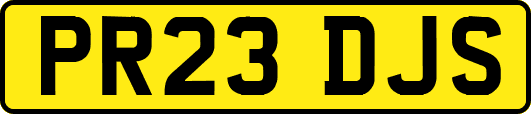 PR23DJS