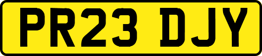 PR23DJY