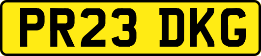 PR23DKG