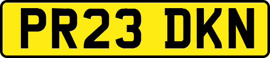 PR23DKN