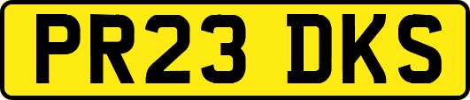 PR23DKS