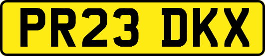 PR23DKX