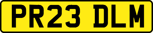 PR23DLM