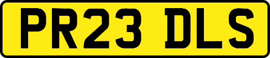 PR23DLS