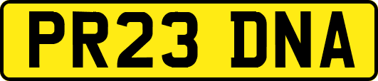PR23DNA