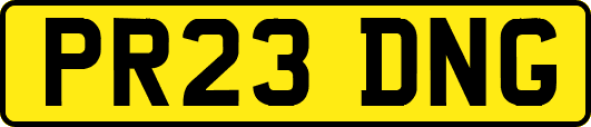 PR23DNG