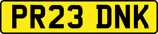 PR23DNK
