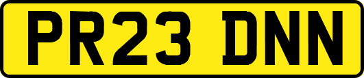 PR23DNN