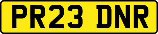 PR23DNR