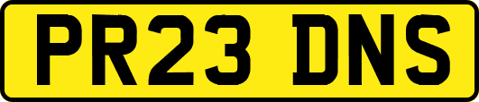 PR23DNS