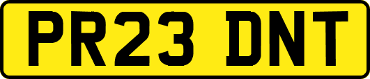 PR23DNT
