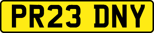 PR23DNY