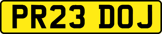 PR23DOJ