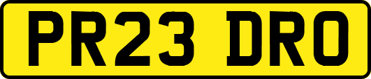 PR23DRO