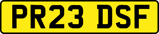 PR23DSF