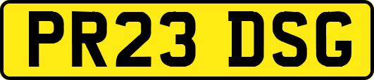 PR23DSG