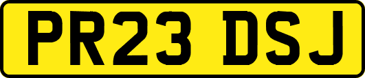 PR23DSJ