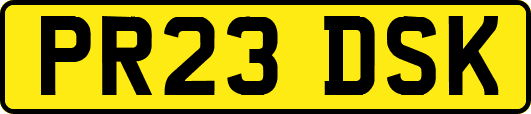 PR23DSK