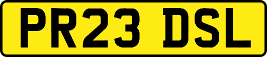 PR23DSL