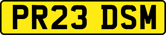 PR23DSM