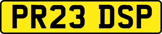 PR23DSP