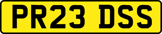 PR23DSS