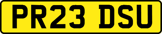 PR23DSU