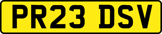 PR23DSV