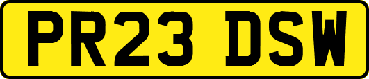 PR23DSW