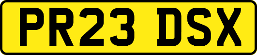PR23DSX