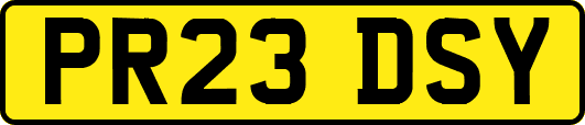 PR23DSY