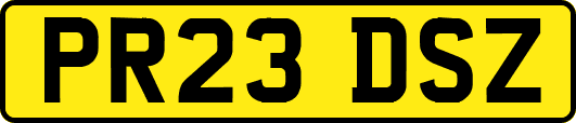 PR23DSZ