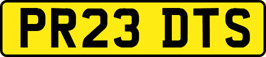 PR23DTS