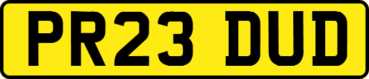 PR23DUD