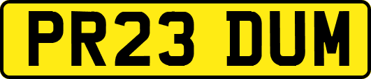 PR23DUM
