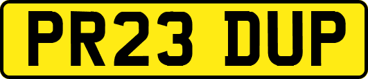 PR23DUP