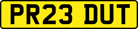 PR23DUT
