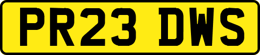 PR23DWS