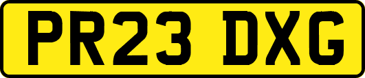PR23DXG