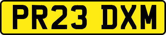 PR23DXM