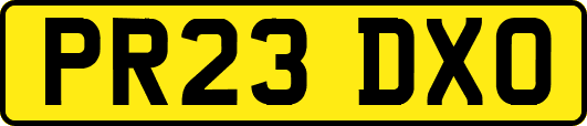 PR23DXO