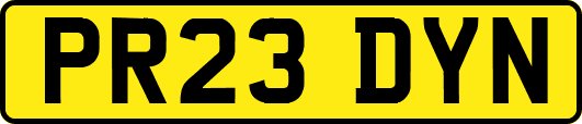 PR23DYN